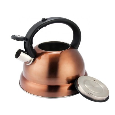 2020 New Style  3L Stainless Steel Whistling Kettle Copper Painting