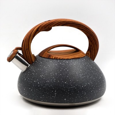 New Style Stainless Steel Quick Water Boiling Tea Whistling Kettle With Soft-Touch Handle